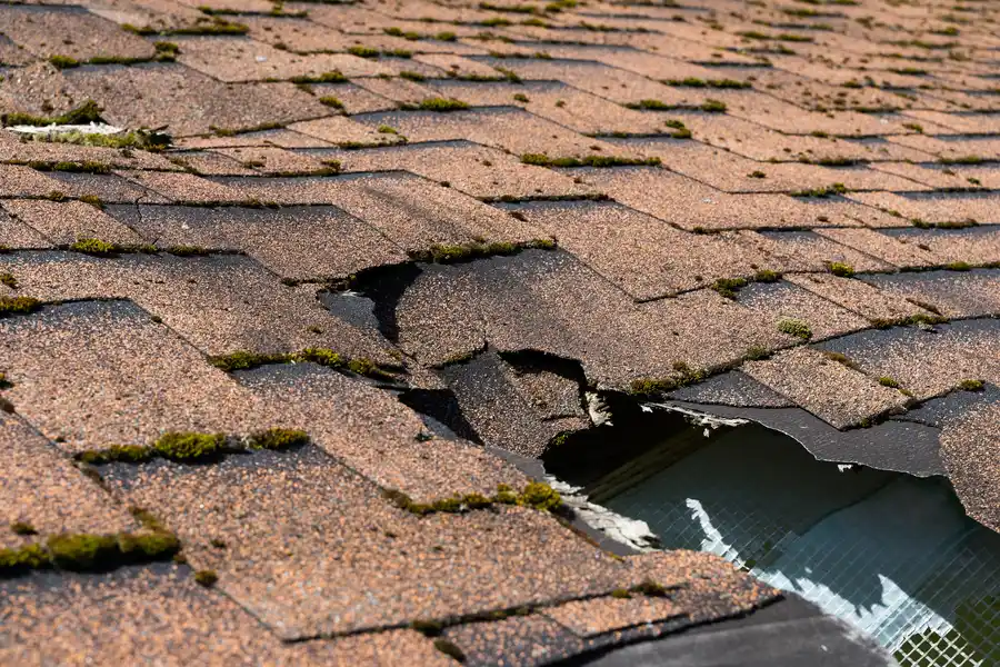 Local Roof Maintenance East Hanover, NJ Local Roof Maintenance East Hanover, NJ